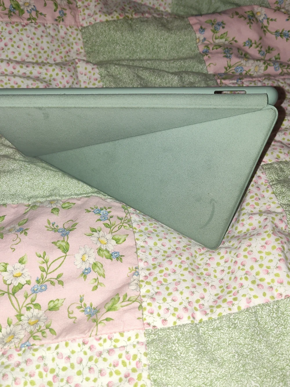 Amazon Kindle Fabric Cover in Sage Green
